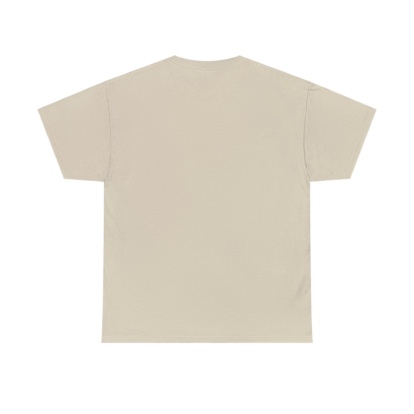 Unisex Heavy Cotton Tee PInk Santa "Believe"